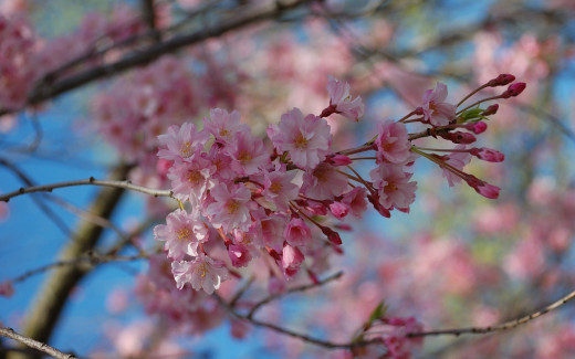 508597 (a): :2560x1600